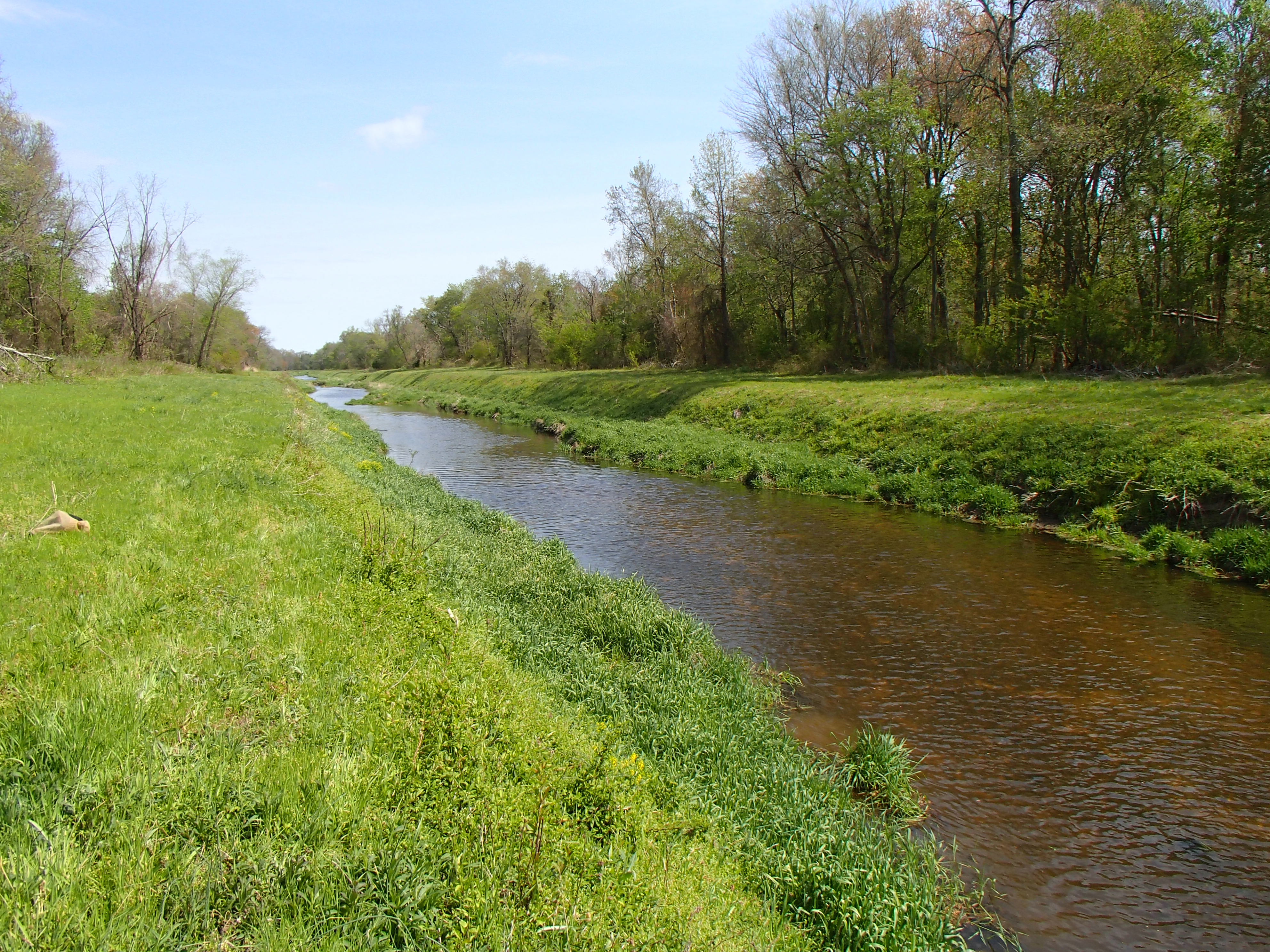 Field photo showing stream conditions at site TUCK-307-R-2016_midpoint looking upstream